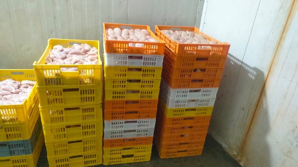 المضبوطات بالغربية 