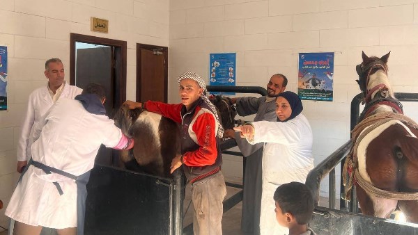 حملات رقابية بالغربية 