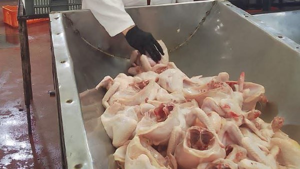 جانب من المضبوطات 