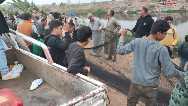 البحث عن تمساح 