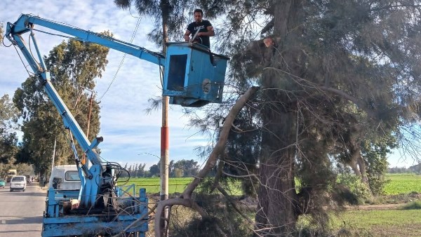 جانب من الأعمال 