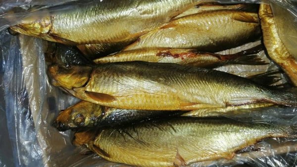 ضبط أسماك غير صالحة ..