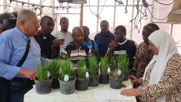 وفد إفريقي في سخا 