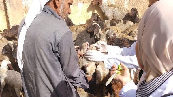 الخدمات البيطرية 