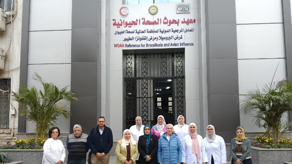 معهد بحوث الصحة الحيوانية