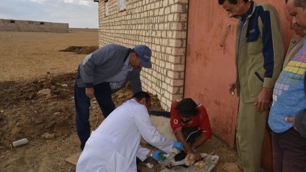 بحوث الصحراء