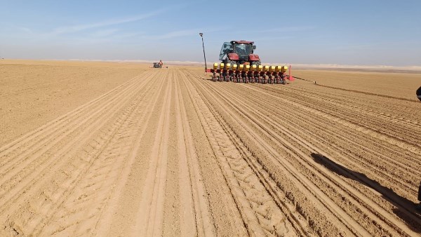 الدلتا الجديدة 