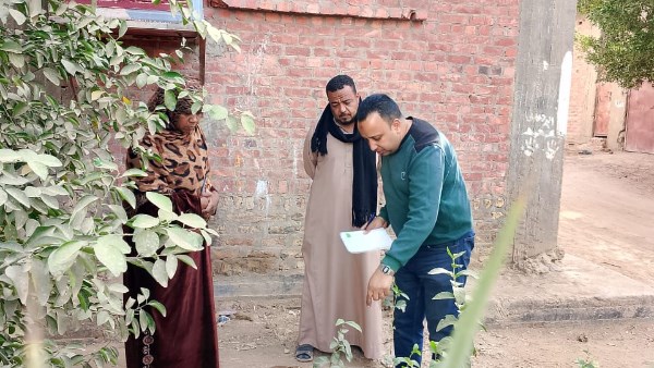 النمل الأبيض