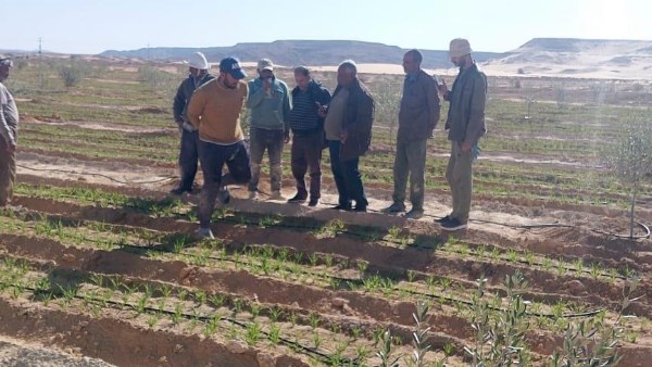 بحوث الصحراء 