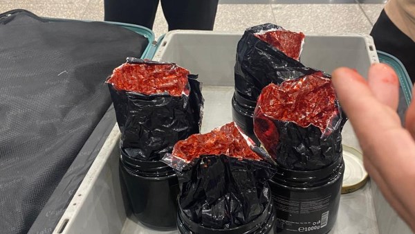 صورة من الضبطية