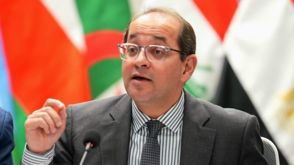 أحمد كجوك وزير المالية