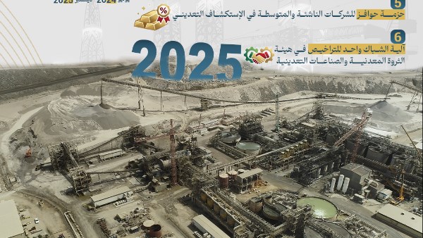 حصاد وزارة البترول 2025