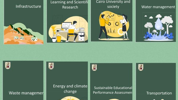 جانب من الفاعليات  