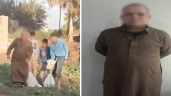 مزارع يجمع الكلاب الضالة داخل أجولة ويعتدى عليها .. الداخلية تكشف حقيقة الفيديو المتداول مزارع يجمع الكلاب الضالة داخل أجولة ويعتدى عليها .. الداخلية تكشف حقيقة الفيديو المتداول