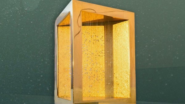 جائزة زايد للأخوَّة الإنسانية 