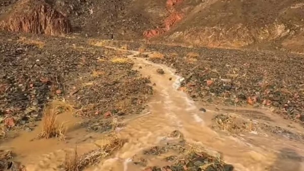 الامطار في منطقة المالحة 