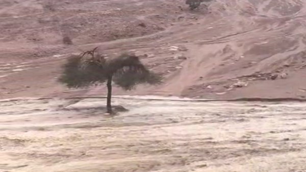 السيول فى منطقة أبو جالوم بنويبع 