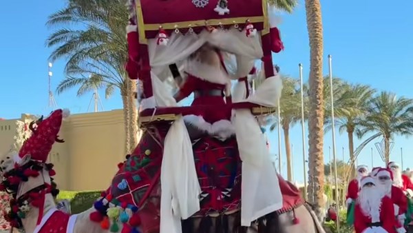 بابا نويل بتجول بالجمل بشرم الشيخ 