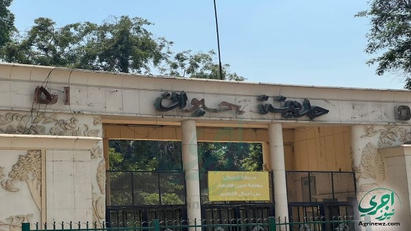 متحدث الوزراء