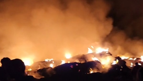 حريق بقش ارز