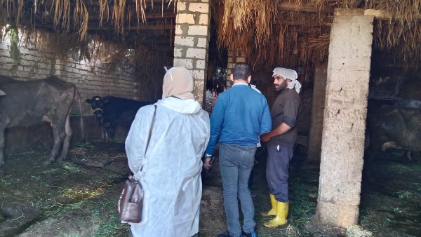 تحصين مواشى 