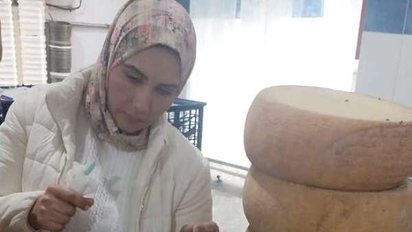 حملات تمونية 