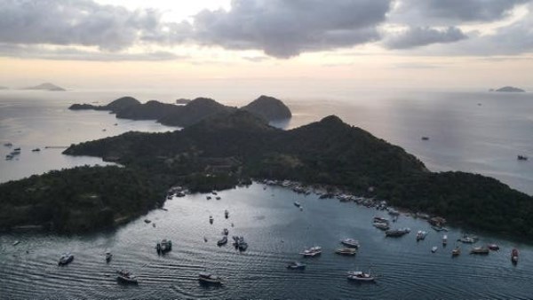 الجزؤرة الاندونيسية 