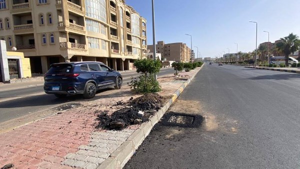 صورة موضوعية