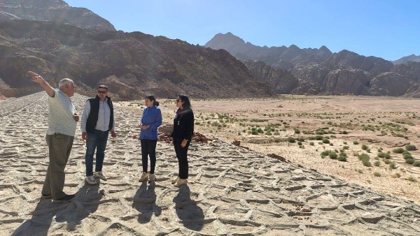 صورة موضوعية