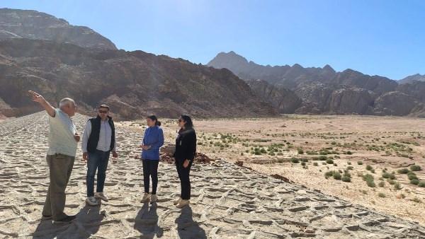 صورة موضوعية