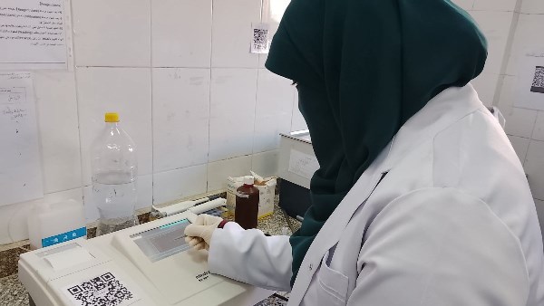 صورة موضوعية