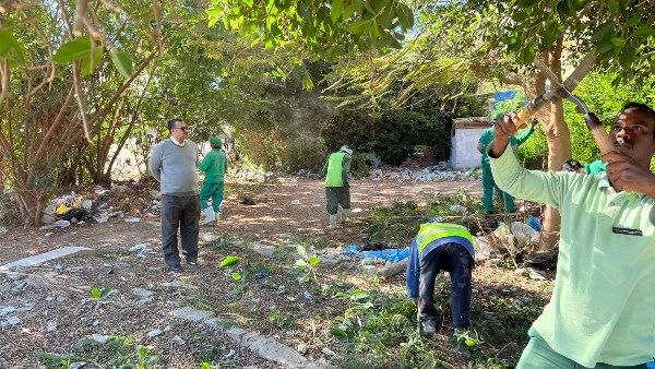 صورة موضوعية