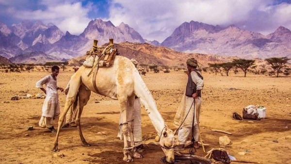 صورة موضوعية