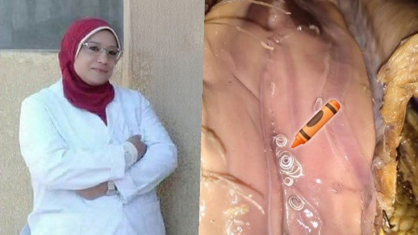 الدكتورة سماح نوح