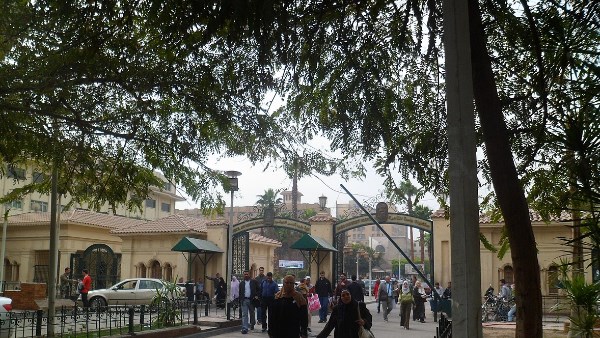 القصر العيني