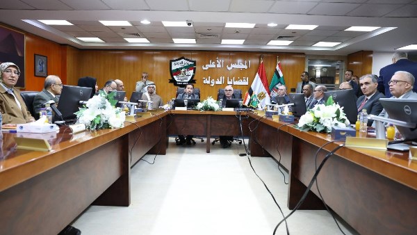 قضايا الدولة