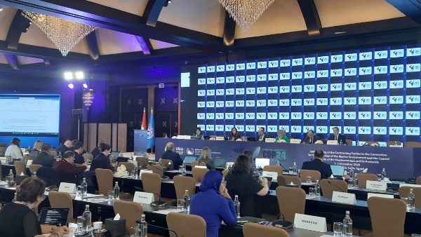 تفويض مركز الأنشطة الإقليمية لتغير المناخ، 