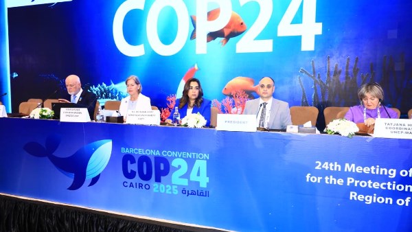 إتفاقية برشلونة COP24،