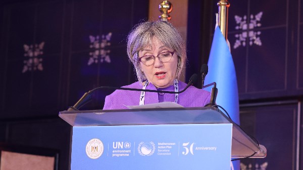 لمؤتمر الأطراف الرابع والعشرين لاتفاقية برشلونة COP24 