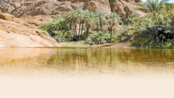 محمية وادي الجمال 