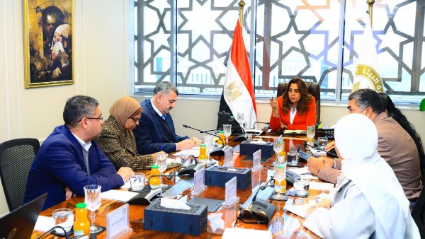 لجنة من الخبراء البيئيين