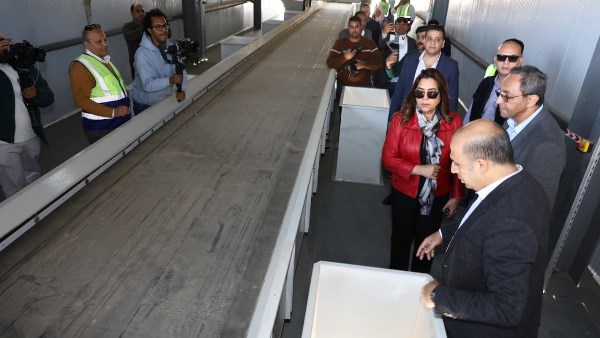 تحقيق التنمية المستدامة