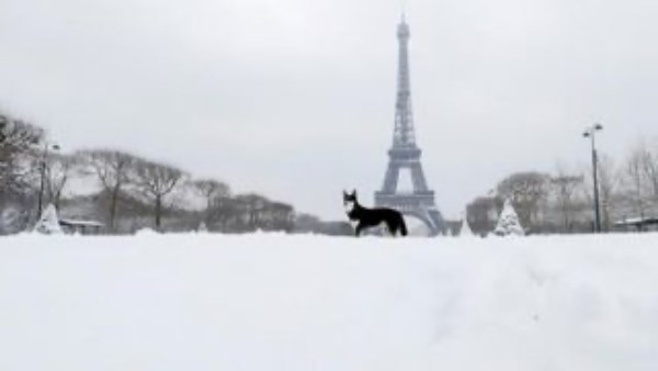 اضطرابات في حركة القطارات 