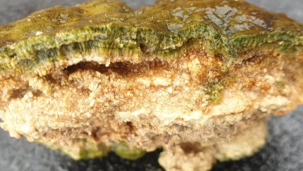 الميكروبيولايت