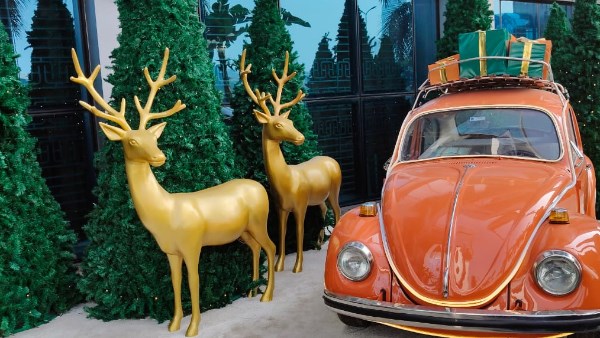 البنك الاهلى 