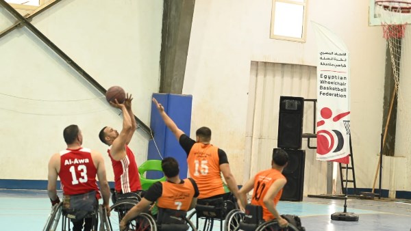 سلة الكراسي المتحركة 