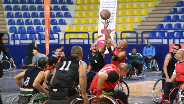 سلة الكراسي المتحركة 