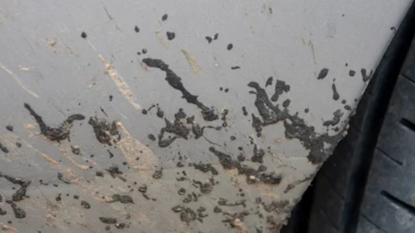 القطران على السيارة 