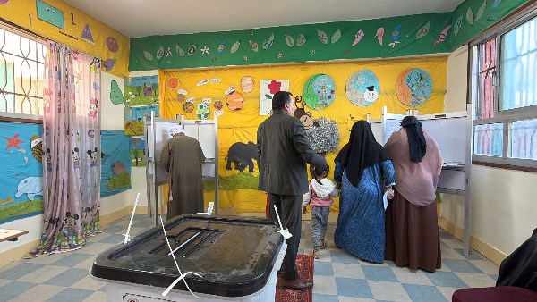 محافظ البحيرة