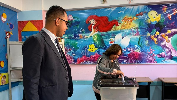 محافظ البحيرة